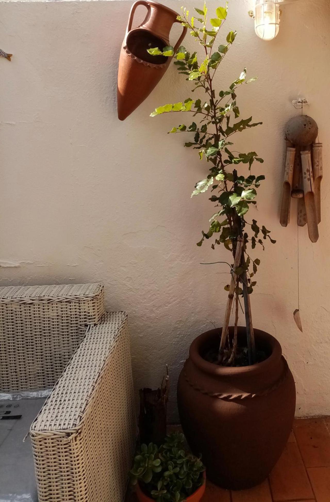 Casa Rustica Villa Olhão Екстериор снимка